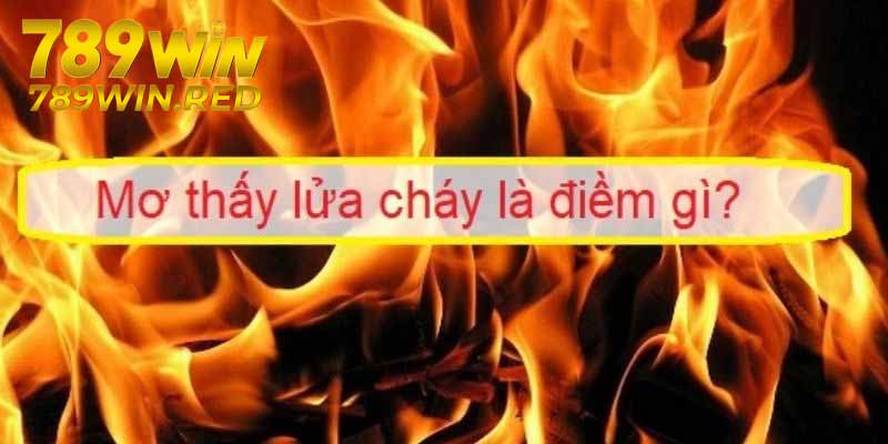 Điềm Báo Mang Lại Khi Nằm Mơ Thấy Lửa Là Tốt Hay Xấu? Điềm báo về nằm mơ thấy lửa