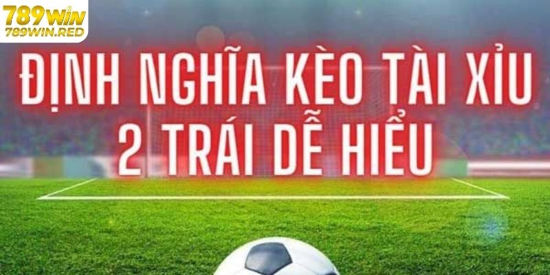 Kinh Nghiệm Chơi Kèo Tài Xỉu 2 Trái Luôn Chiến Thắng Giới thiệu tài xỉu 2 trái tại 789WIN
