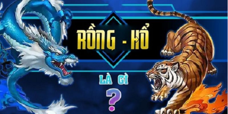 Rồng Hổ Là Gì? Cách Soi Cầu Rồng Hổ Chuẩn Xác Giới thiệu rồng hổ tại 789WIN